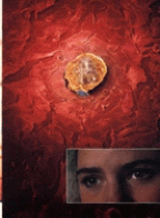 preek6.gif